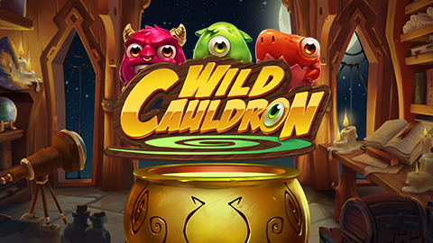 WILD CAULDRON
