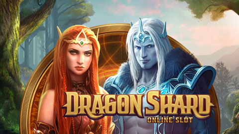DRAGON SHARD