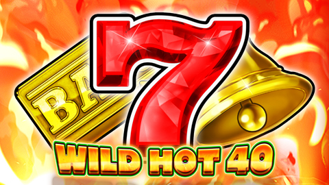 WILD HOT 40