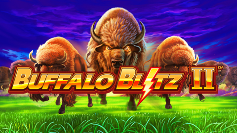 BUFFALO BLITZ 2